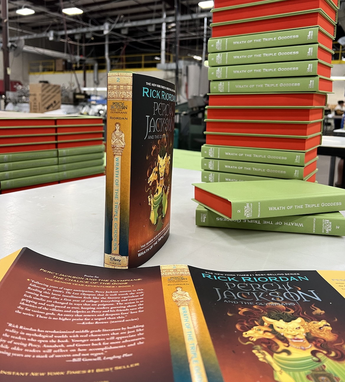 image of example dust jackets on books from Bind Tech